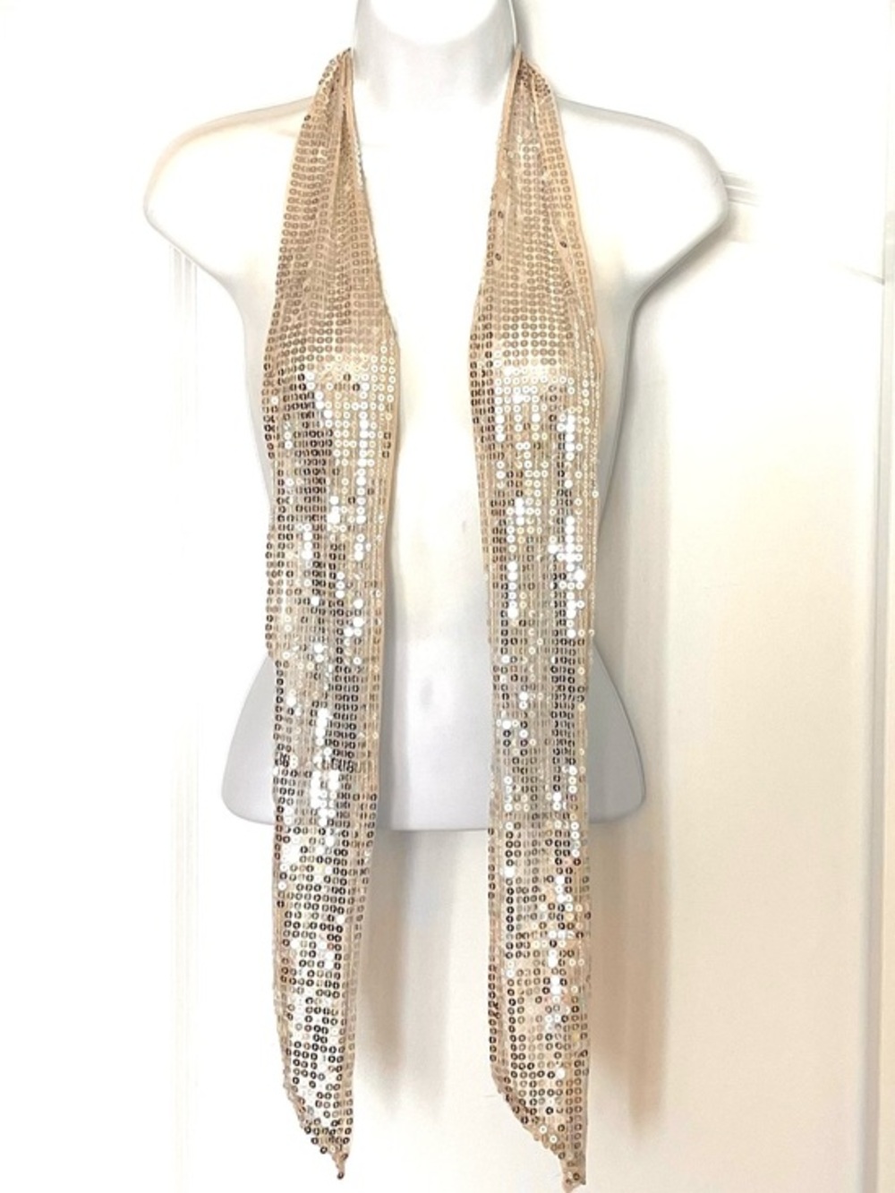 Sequin Scarf Tie in Champagne!